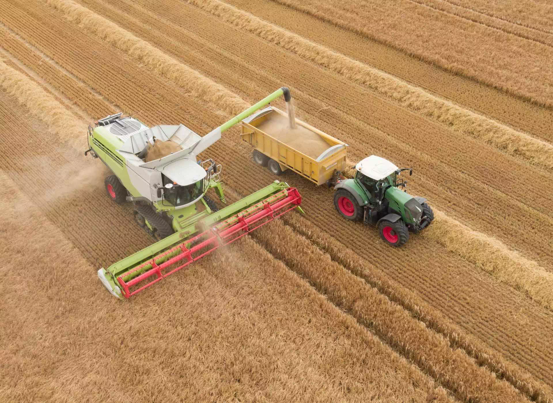 Maszyny rolnicze na polu
